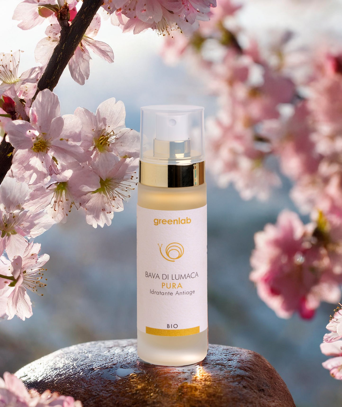 Crema Rigenerante + Bava di Lumaca Pura 50ml, "Trattamento Completo Viso e Décolleté"