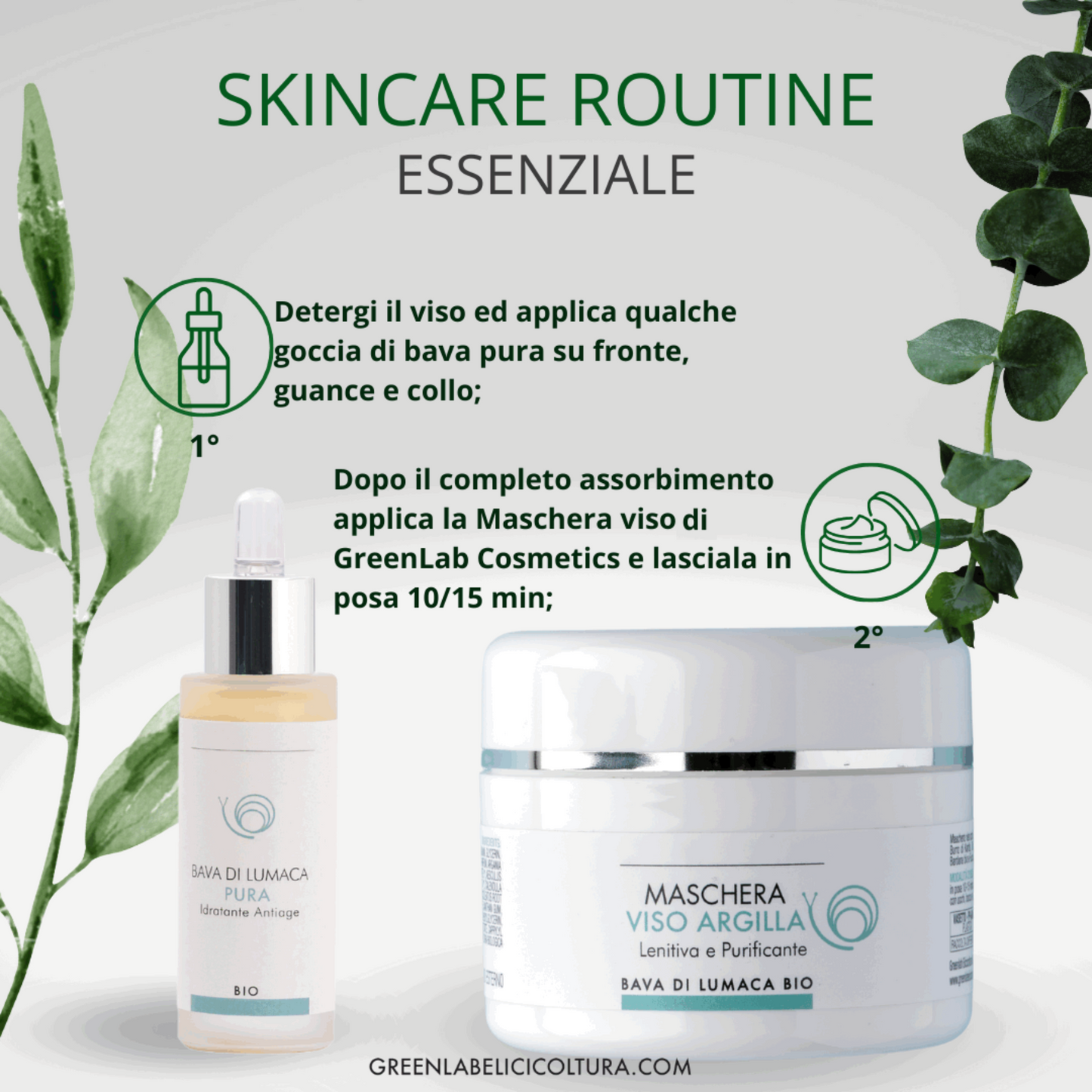 Masque visage régénérant à la bave d'escargot - Peau douce, hydratée et éclatante