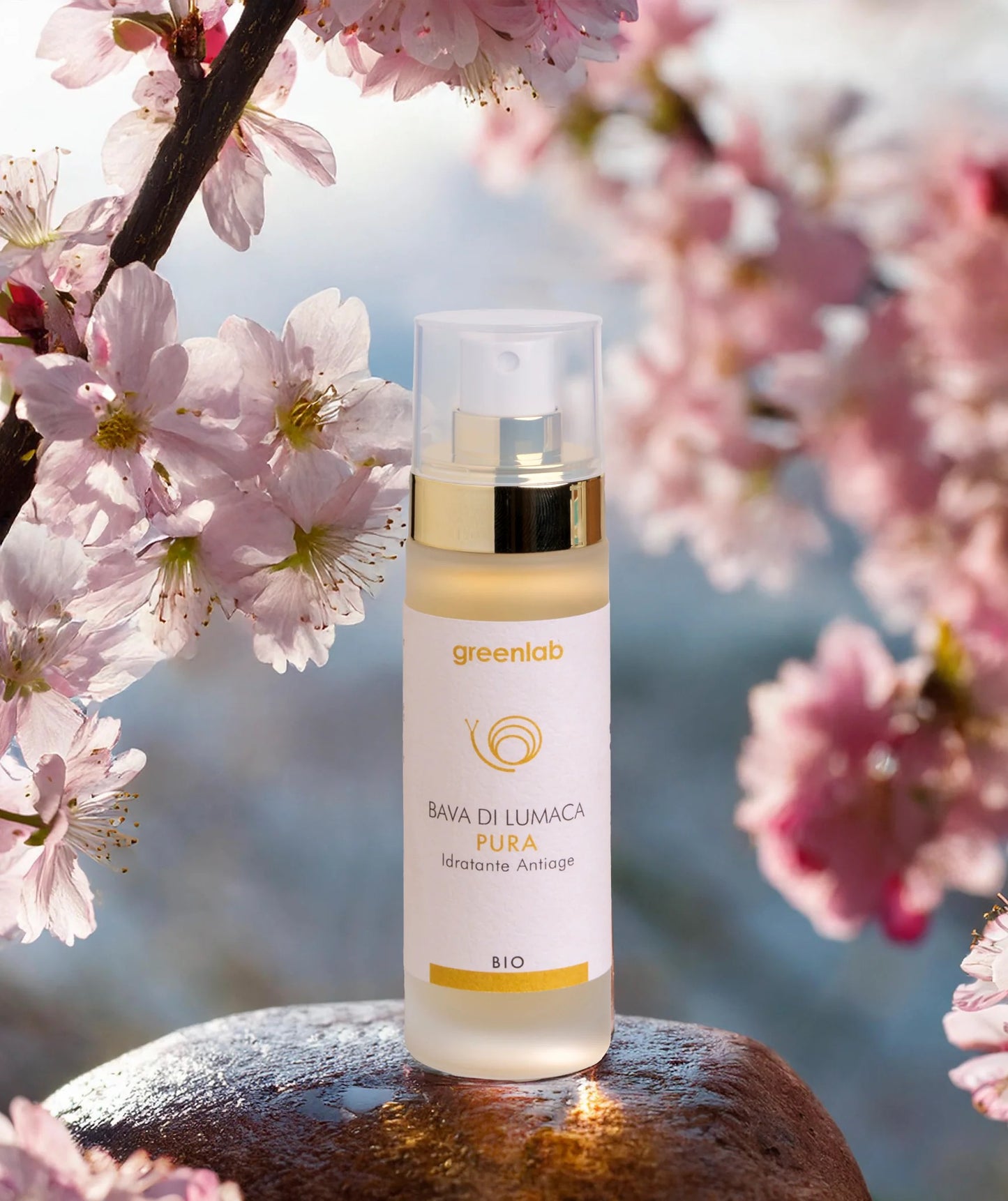 Christmas Box Small — “Naturale & Curativa” 🎁