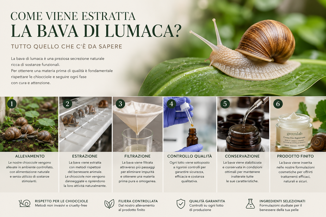 Come Viene Estratta la Bava di Lumaca? Tutto Quello che C'è da Sapere