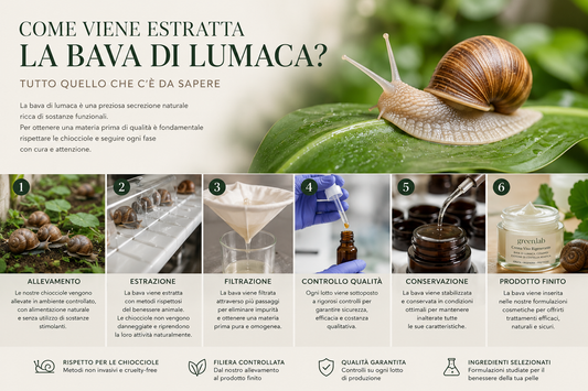 Come Viene Estratta la Bava di Lumaca? Tutto Quello che C'è da Sapere