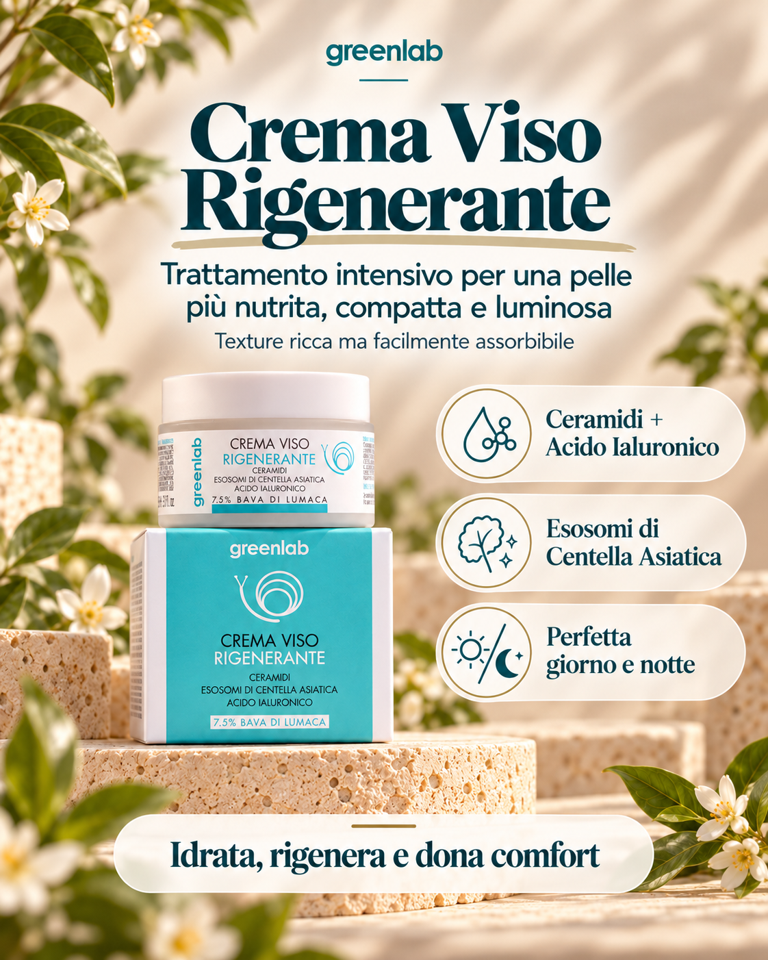 Crema Viso Rigenerante NUOVA FORMULA  con ESOSOMI di centella - riduce rughe e segni del tempo
