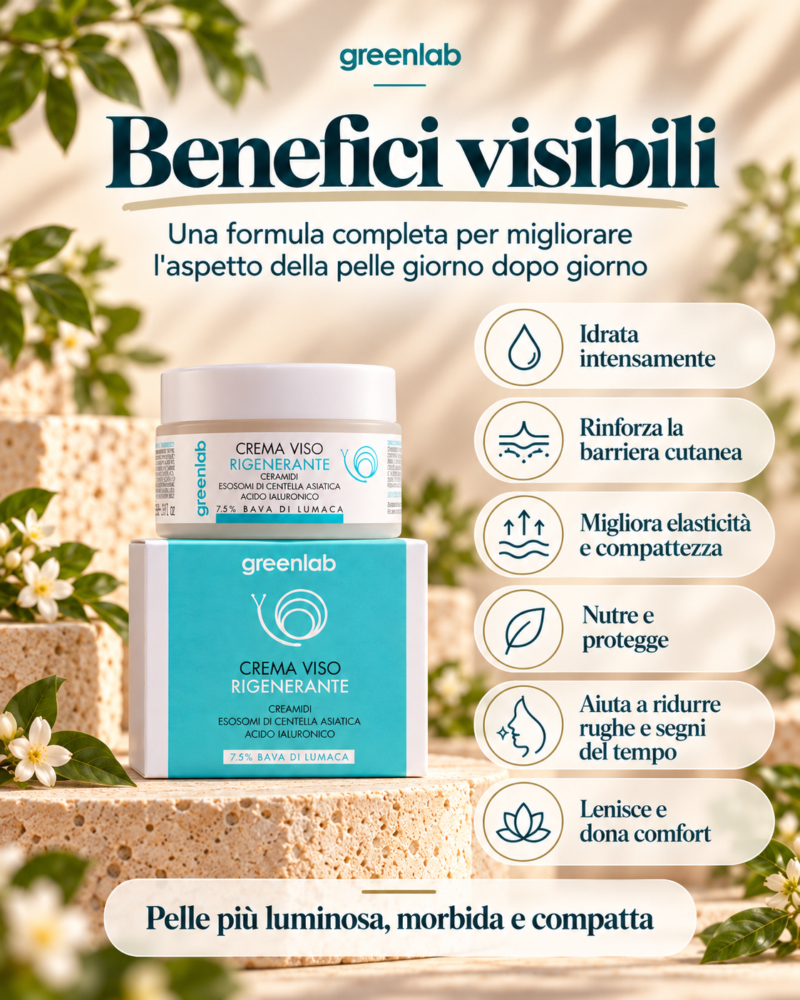 Crema Viso Rigenerante NUOVA FORMULA  con ESOSOMI di centella - riduce rughe e segni del tempo