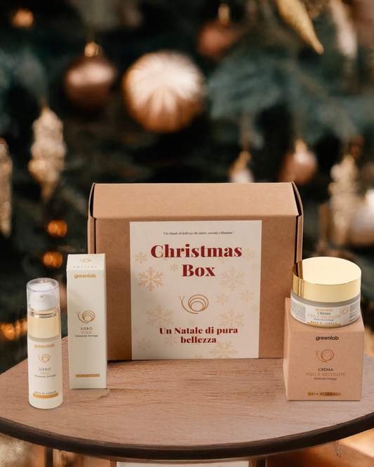 Christmas Box Medium — “Rigenera & Illumina” 🎁