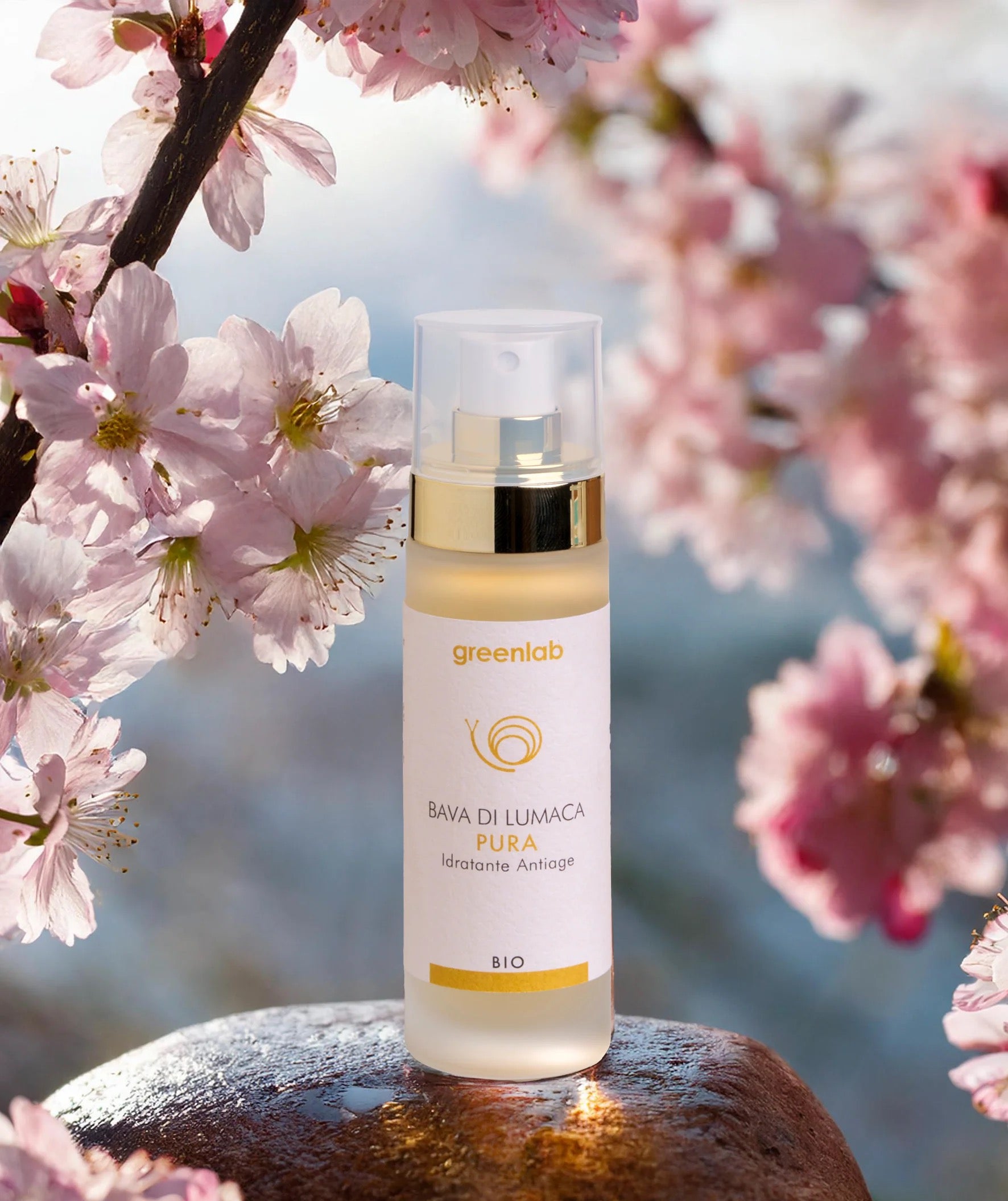 Christmas Box Small — “Naturale & Curativa” 🎁